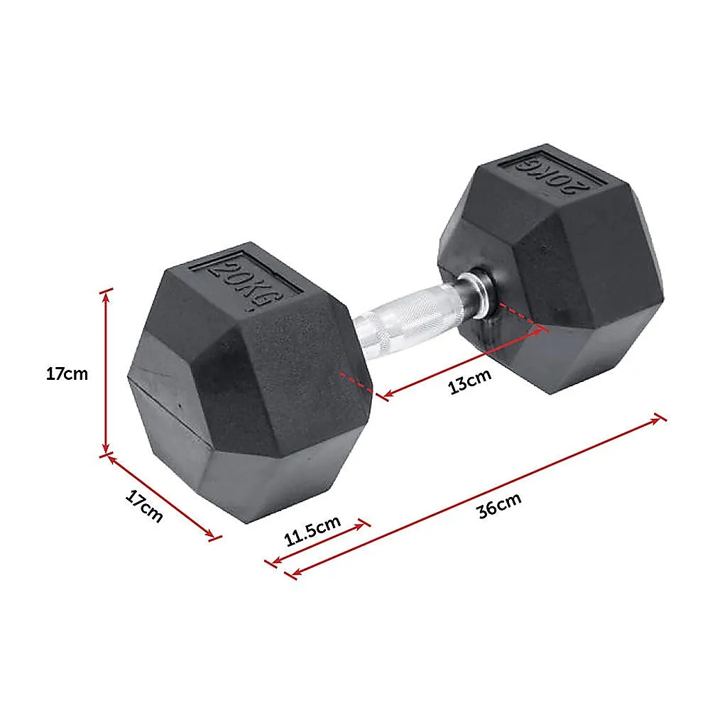 20KG Commercial Rubber Hex Dumbbell Gym Weight