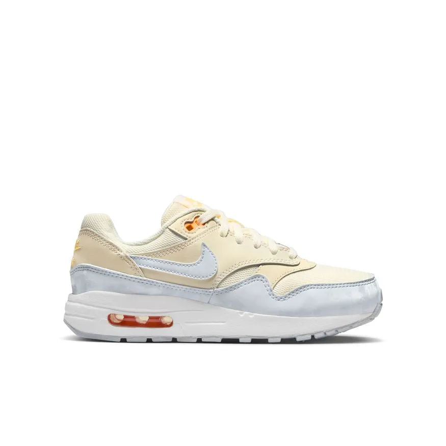 AIR MAX 1 (GS) DZ3307-102