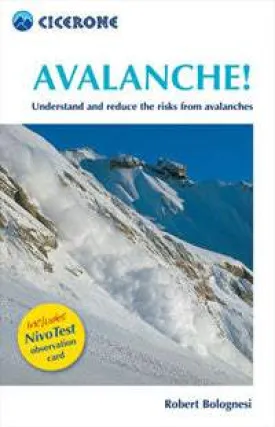 Avalanche! (1st Edition) by Robert Bolognesi (2007)