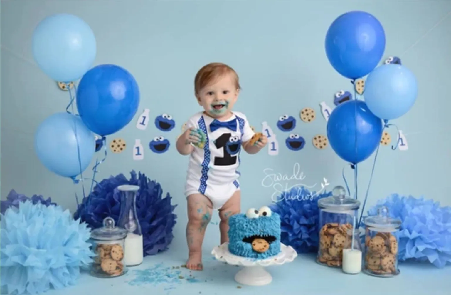 Boys Cookie Monster Birthday Outfit, Boys 1st Birthday Outfit