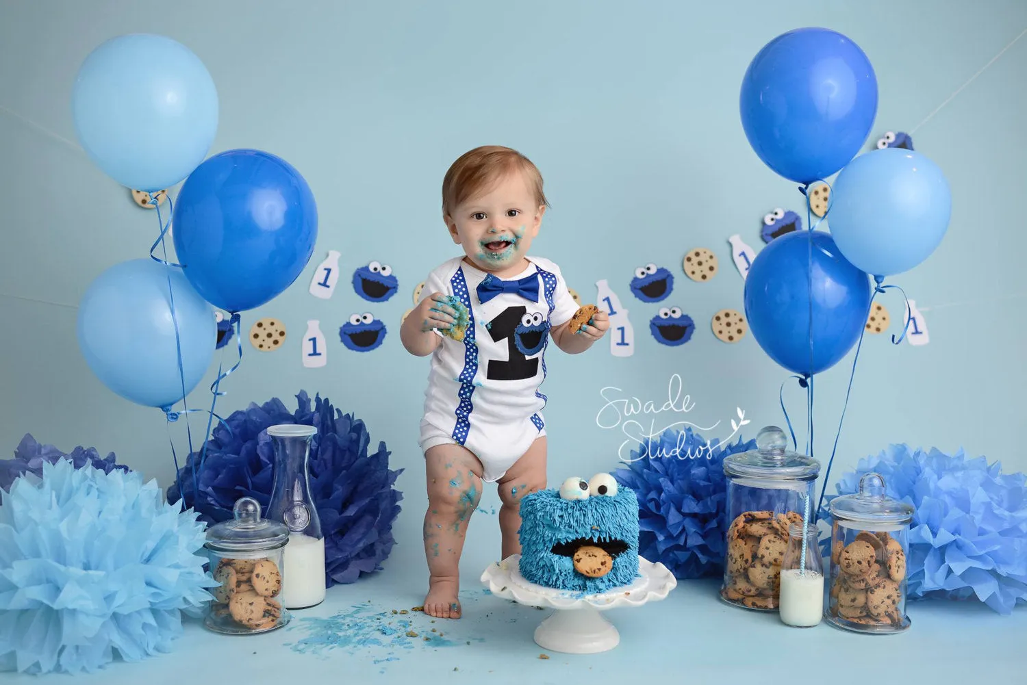 Boys Cookie Monster Cake Smash Outfit