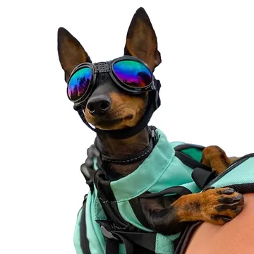 K9 Sport Shades Doggles