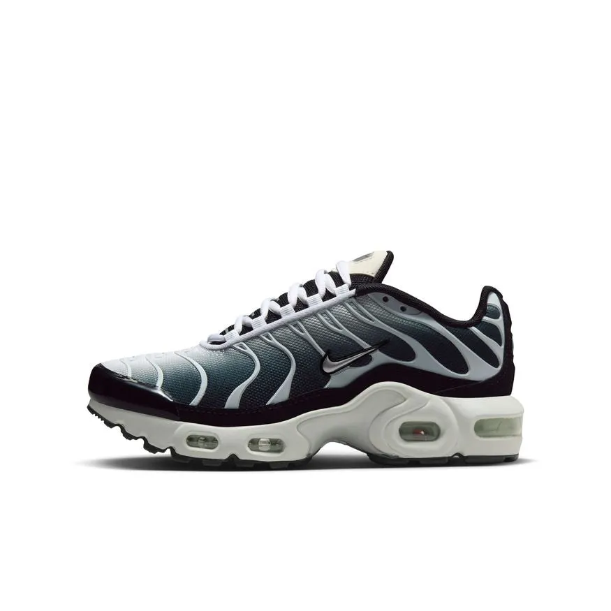 Nike Air Max Plus CD0609-026