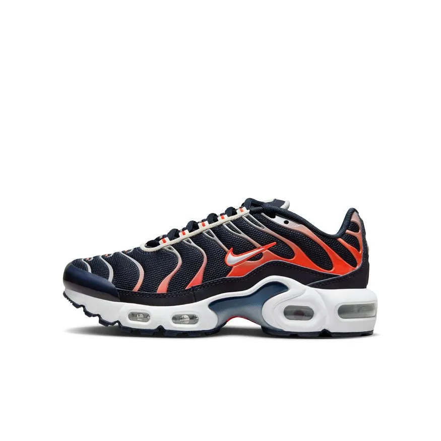 NIKE AIR MAX PLUS (GS) CD0609-408