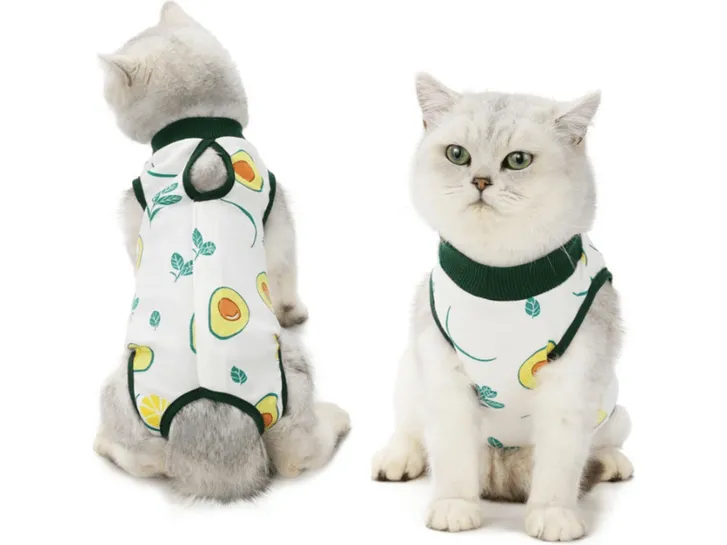 Pet Clothes Avocado