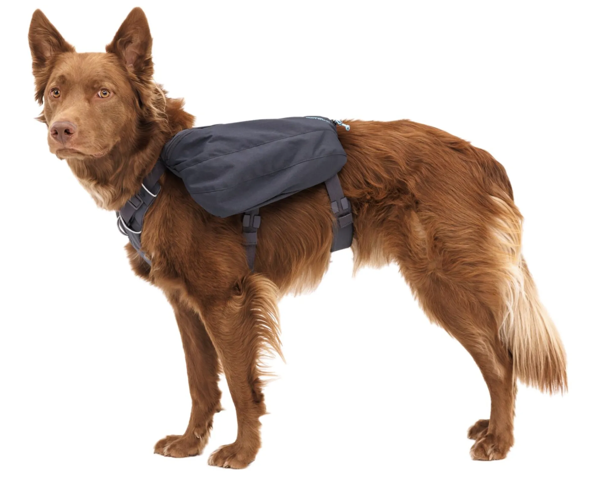 Ruffwear Front Range Day Pack Basalt Gray